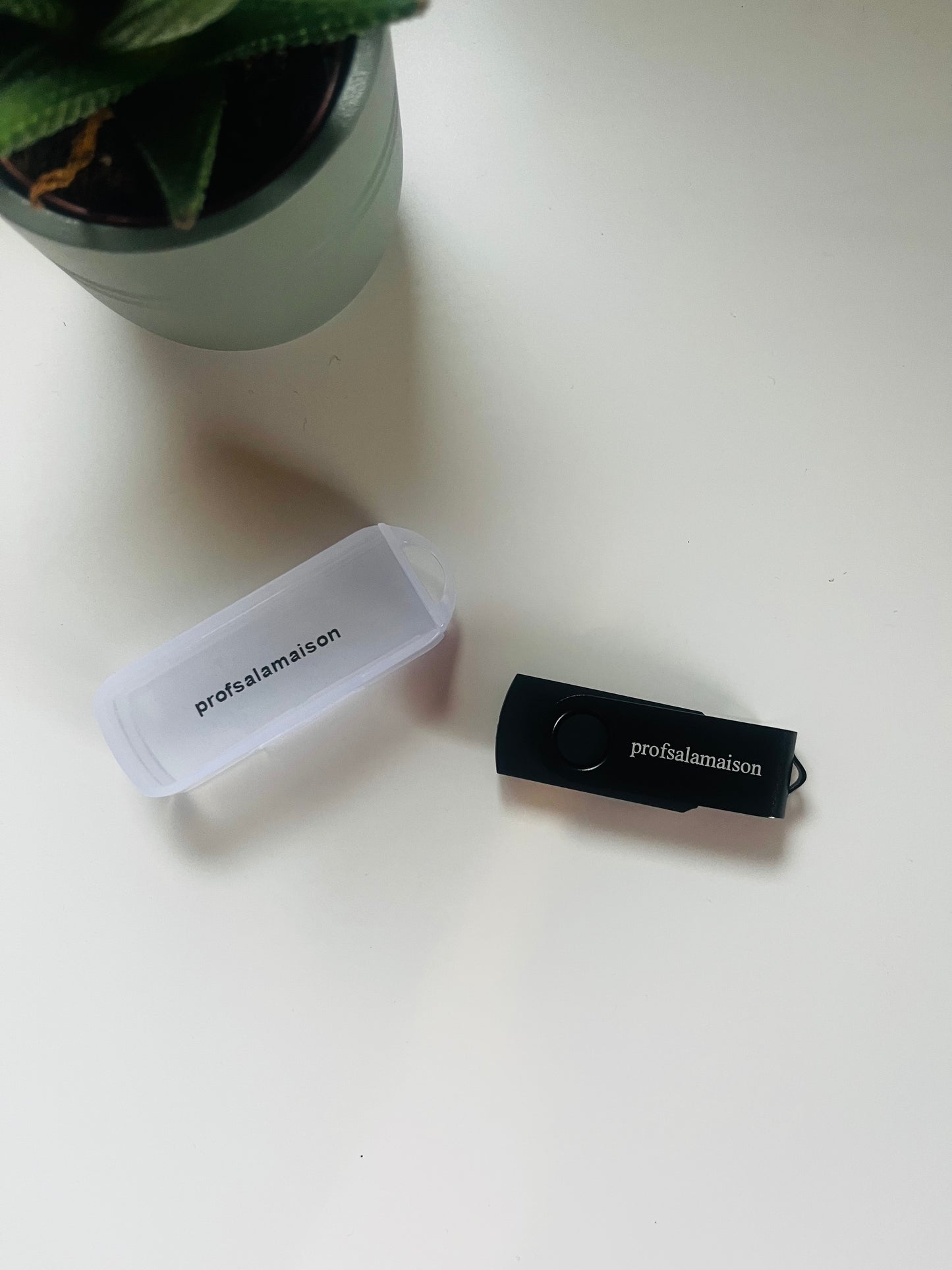 Clé USB Pack de révision COMPLET: fiches SVT, fiches Histoire géographie EMC, fiches Maths, fiches physique chimie