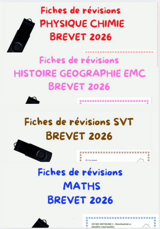 Clé USB Pack de révision COMPLET: fiches SVT, fiches Histoire géographie EMC, fiches Maths, fiches physique chimie